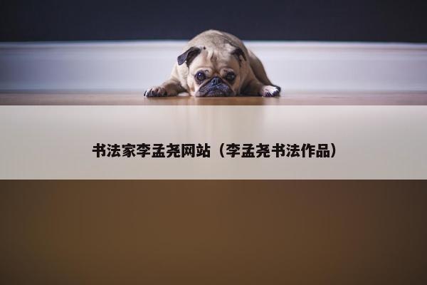 书法家李孟尧网站（李孟尧书法作品）
