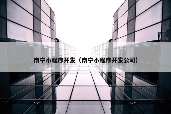 南宁小程序开发（南宁小程序开发公司）