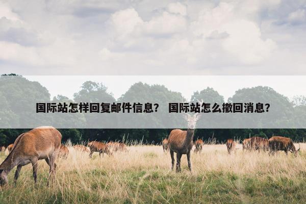 国际站怎样回复邮件信息？ 国际站怎么撤回消息？