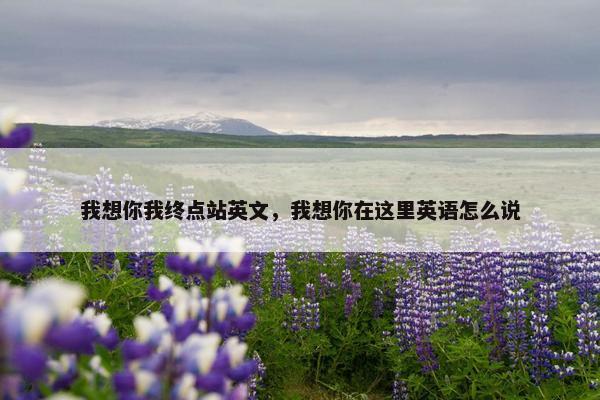 我想你我终点站英文，我想你在这里英语怎么说