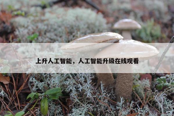 上升人工智能，人工智能升级在线观看