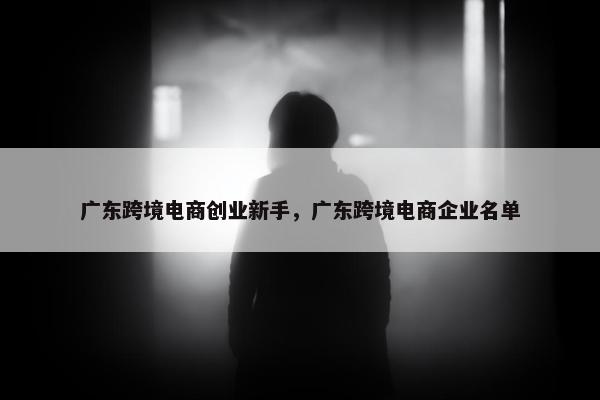 广东跨境电商创业新手，广东跨境电商企业名单