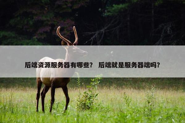 后端资源服务器有哪些？ 后端就是服务器端吗？
