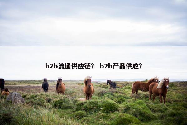 b2b流通供应链？ b2b产品供应？