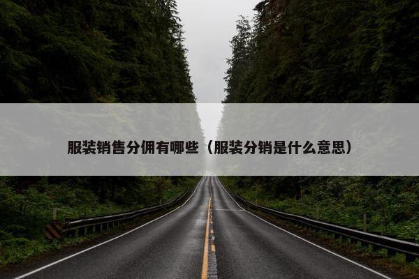 服装销售分佣有哪些（服装分销是什么意思）