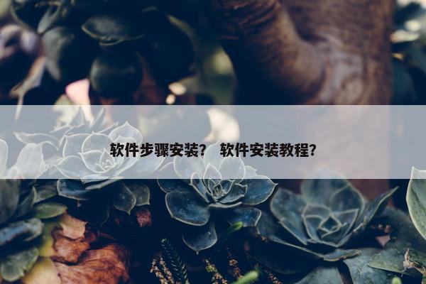 软件步骤安装？ 软件安装教程？
