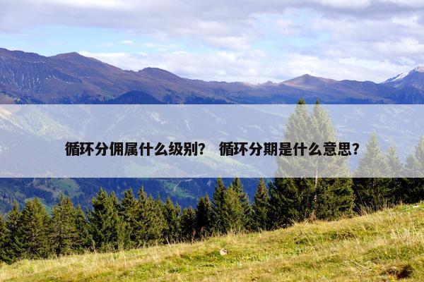 循环分佣属什么级别？ 循环分期是什么意思？