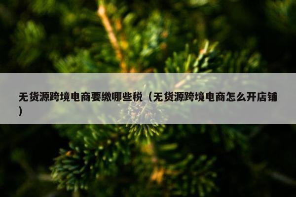 无货源跨境电商要缴哪些税（无货源跨境电商怎么开店铺）