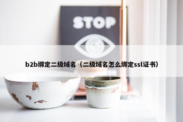b2b绑定二级域名（二级域名怎么绑定ssl证书）