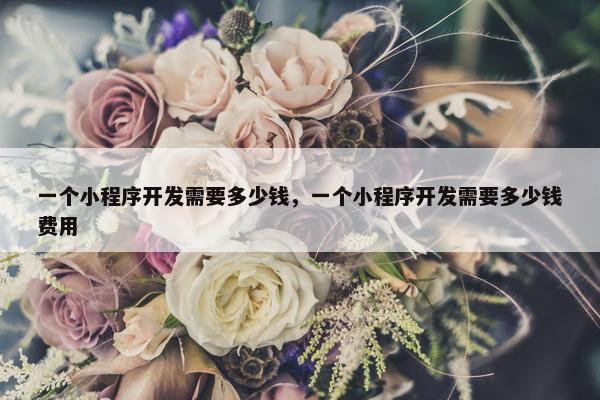 一个小程序开发需要多少钱，一个小程序开发需要多少钱费用