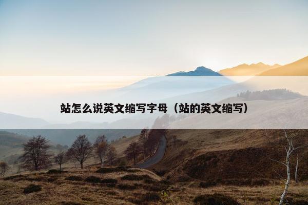 站怎么说英文缩写字母（站的英文缩写）
