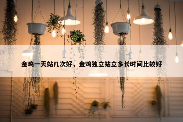金鸡一天站几次好，金鸡独立站立多长时间比较好