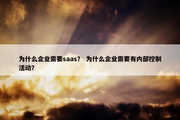 为什么企业需要saas？ 为什么企业需要有内部控制活动？