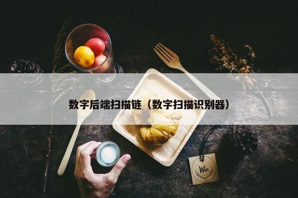 数字后端扫描链（数字扫描识别器）