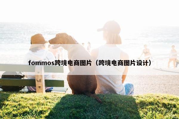 fommos跨境电商图片（跨境电商图片设计）