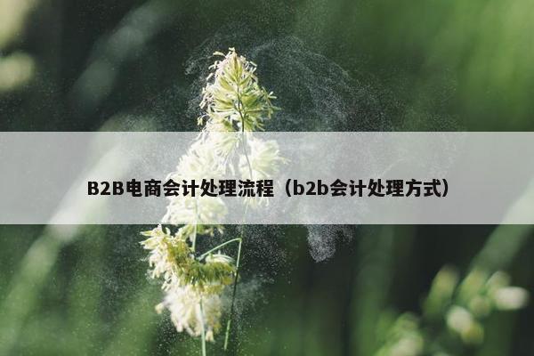 B2B电商会计处理流程（b2b会计处理方式）