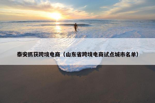 泰安抓获跨境电商（山东省跨境电商试点城市名单）