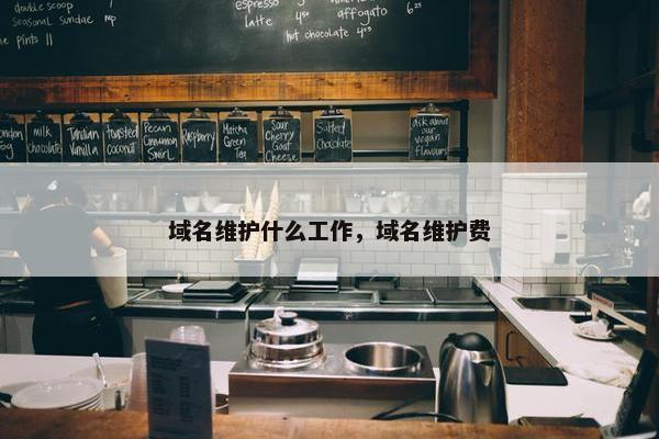 域名维护什么工作，域名维护费