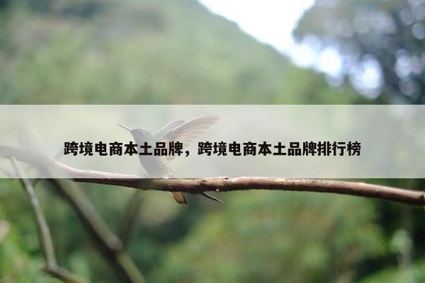 跨境电商本土品牌，跨境电商本土品牌排行榜