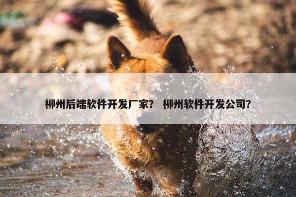 柳州后端软件开发厂家？ 柳州软件开发公司？
