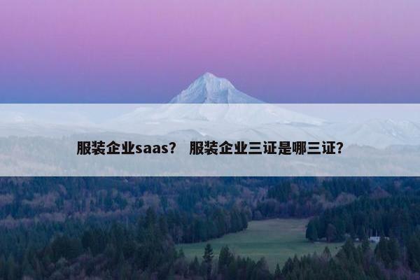 服装企业saas？ 服装企业三证是哪三证？