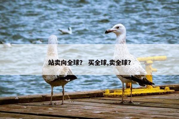 站卖向全球？ 买全球,卖全球？