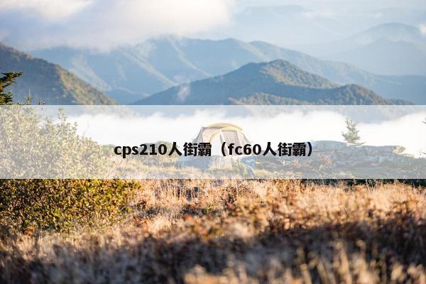 cps210人街霸（fc60人街霸）