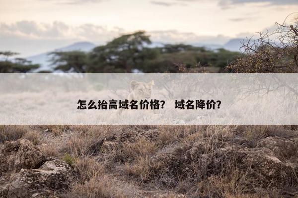 怎么抬高域名价格？ 域名降价？