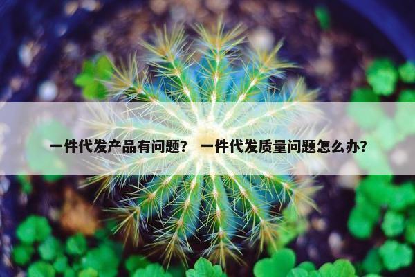 一件代发产品有问题？ 一件代发质量问题怎么办？