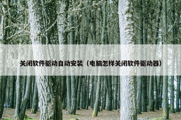 关闭软件驱动自动安装（电脑怎样关闭软件驱动器）