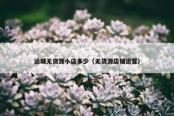 运城无货源小店多少（无货源店铺运营）
