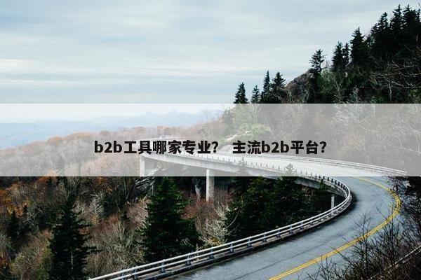 b2b工具哪家专业？ 主流b2b平台？