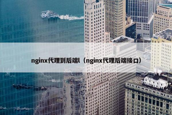 nginx代理到后端l（nginx代理后端接口）