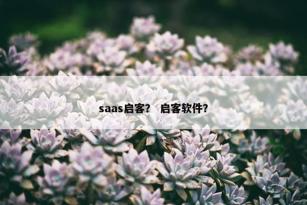 saas启客？ 启客软件？