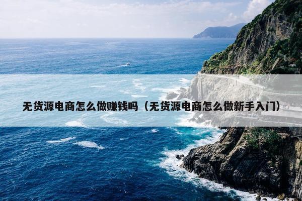 无货源电商怎么做赚钱吗（无货源电商怎么做新手入门）