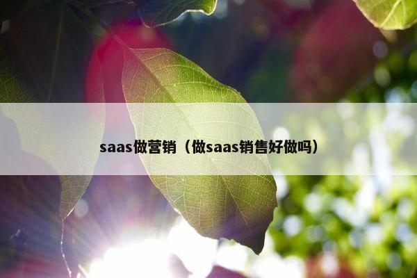 saas做营销（做saas销售好做吗）