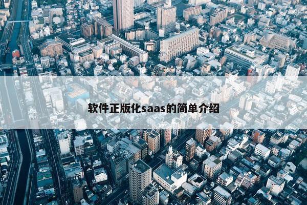 软件正版化saas的简单介绍