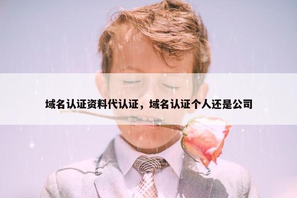域名认证资料代认证，域名认证个人还是公司