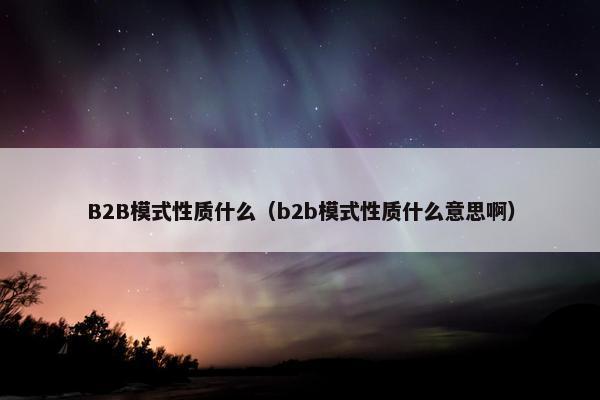 B2B模式性质什么（b2b模式性质什么意思啊）