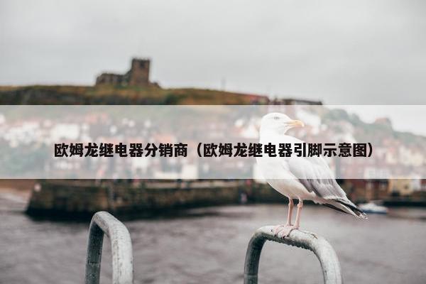 欧姆龙继电器分销商（欧姆龙继电器引脚示意图）