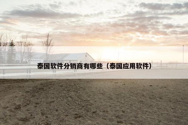 泰国软件分销商有哪些（泰国应用软件）