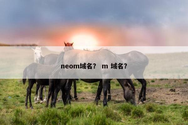 neom域名？ m 域名？