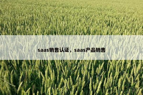 saas销售认证，saas产品销售