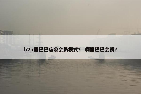 b2b里巴巴店家会员模式？ 啊里巴巴会员？