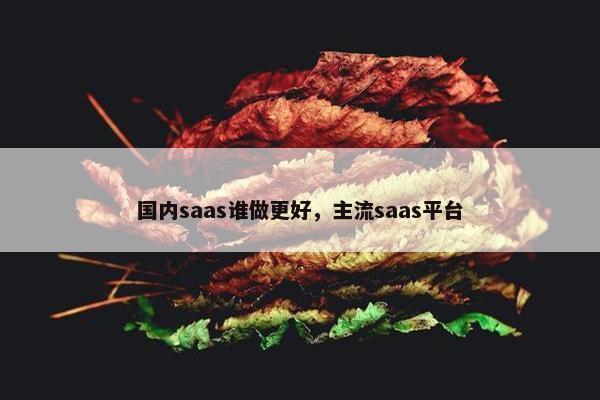 国内saas谁做更好，主流saas平台