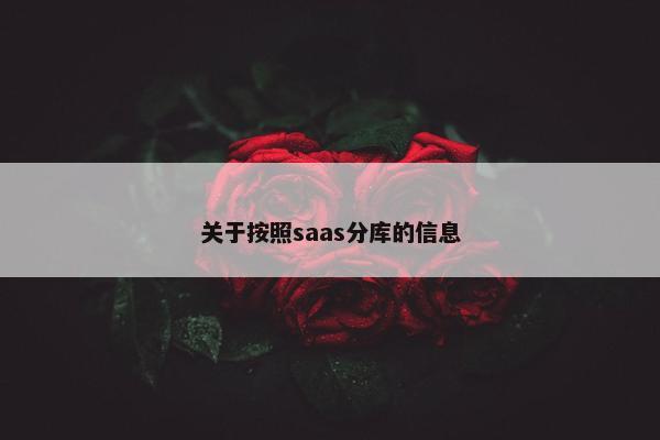 关于按照saas分库的信息