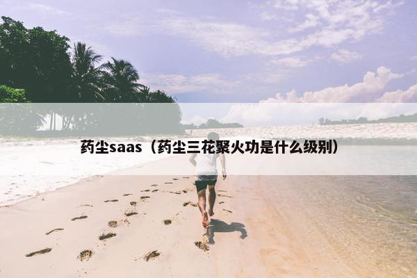 药尘saas（药尘三花聚火功是什么级别）