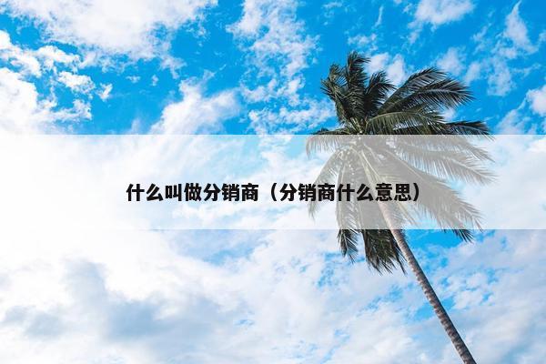 什么叫做分销商（分销商什么意思）