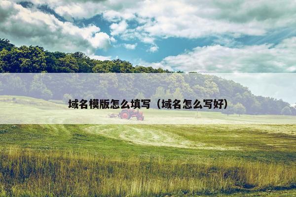 域名模版怎么填写（域名怎么写好）