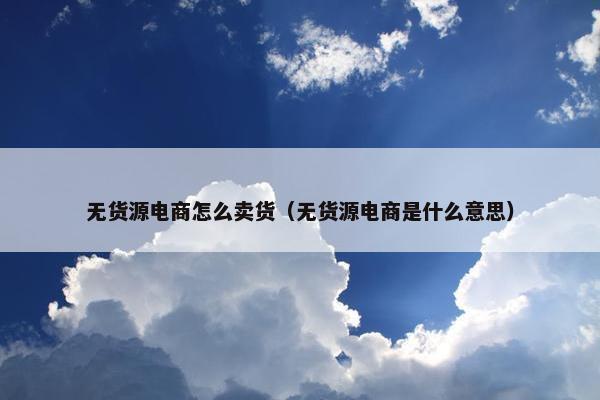 无货源电商怎么卖货（无货源电商是什么意思）